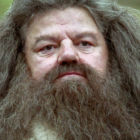 The Story of Rubeus Hagrid