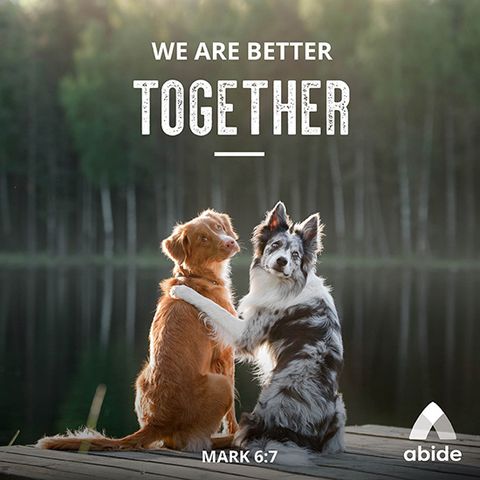 We Are Better Together