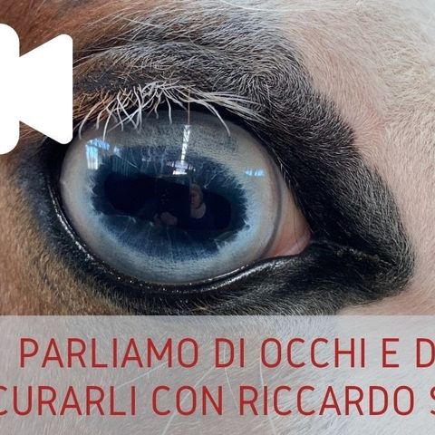 Parliamo delle patologie degli occhi con Riccardo Stoppini