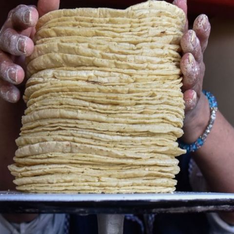 Precio del kilogramo de tortilla alcanzó los 20 pesos