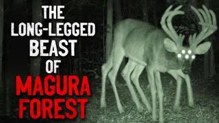 "The long legged beast of the Magura Forest" Creepypasta