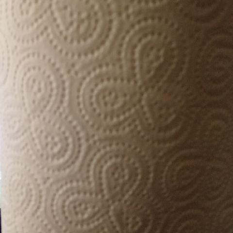 BNN Presents The Kitchen Roll Effect