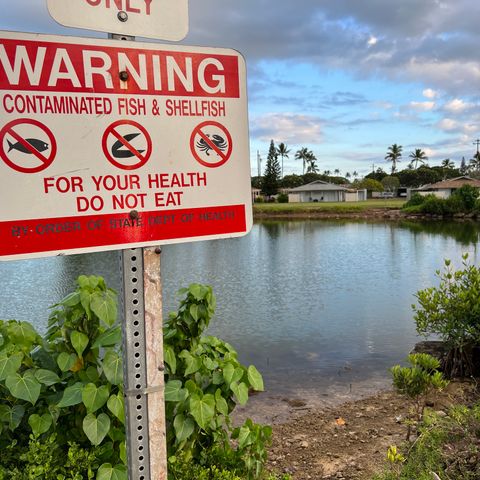 The US military is poisoning the water in O'ahu