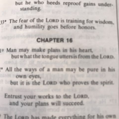 Chapter 16
