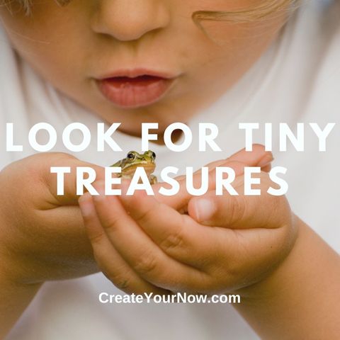 2715 Look for Tiny Treasures