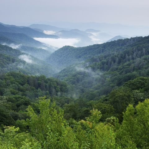 Around the World: Morning in Smoky Mountain