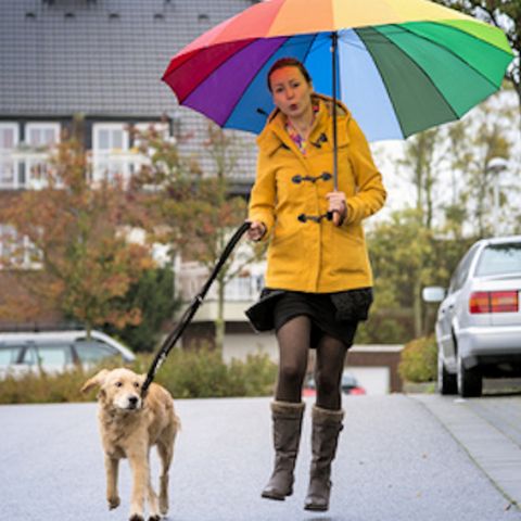 How To Keep Pets Moving This Winter - Nadia Crighton