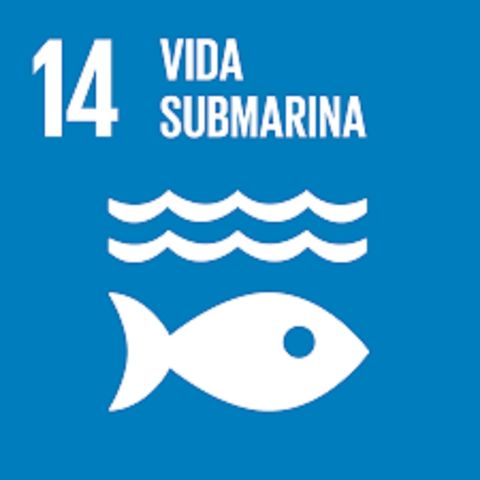 14. Vida submarina