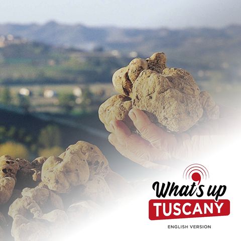 The white gold of the Tuscan hills - Ep. 54
