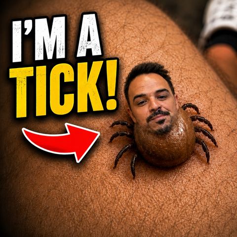 Tick Attack Alpha Gal | Neph 2 America