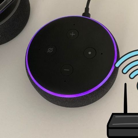 How to Fix Alexa Purple Ring Issues