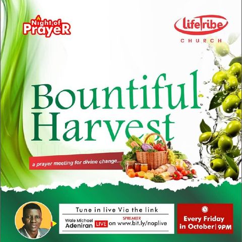 Bountiful Harvest (part 3)