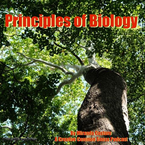 Chapter 19.4 Metabolism Without Oxygen