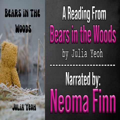 Bears in the Woods_Narrated by Neoma Finn