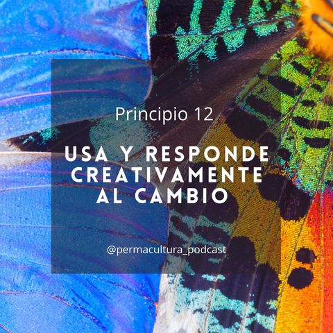 T1E17 - Principio 12 Usa y responde creativamente al cambio