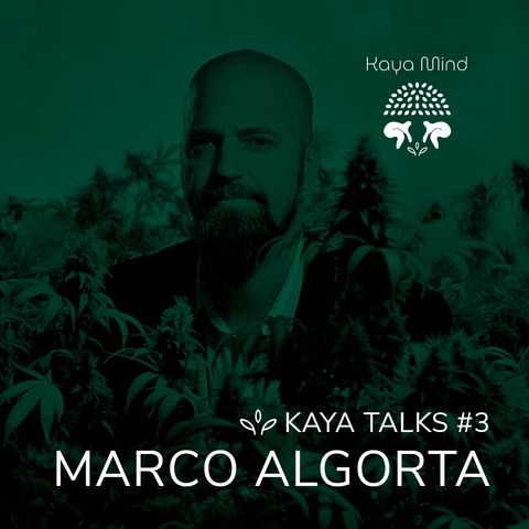 #3 | Marco Algorta