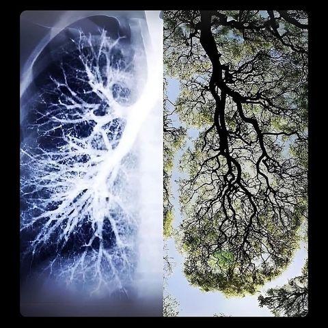 3 part breath