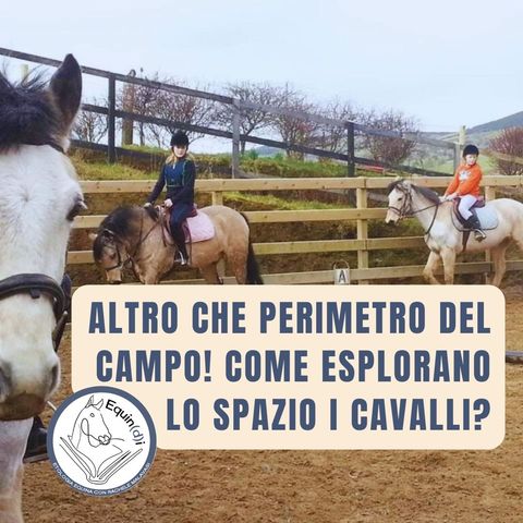 Altro che perimetro del campo! Esplorazione dello spazio del cavallo