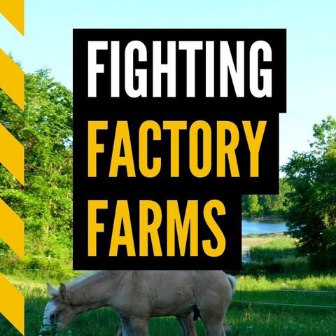 Factory farms pose an 'existential threat' for rural Wisconsin communities