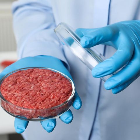 Che cos’è la carne sintetica