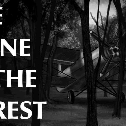 The Plane in the Forest
