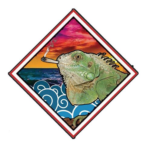 Cancion oficial de Iguanas en el Mar