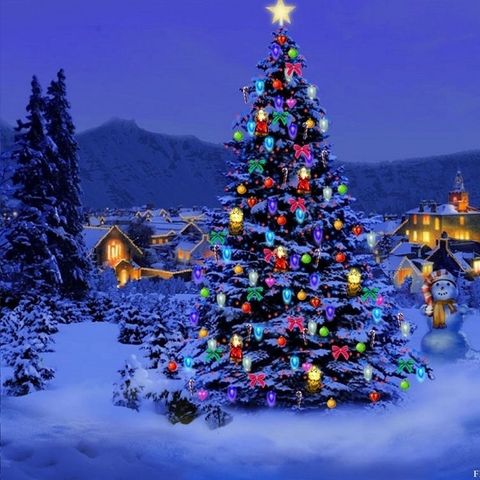 Il Natale di ameria radio - Concerto di S. Stefano W.A. Mozart - Messa dell'Incoronazione