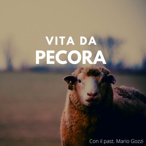 La differenza tra capra e pecora 4 Parte - Mario Gozzi