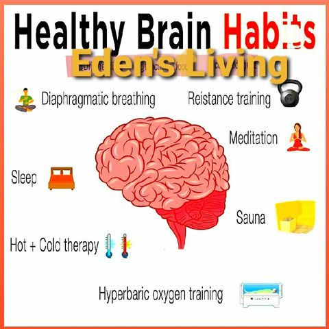 Healthy BRAIN habits
