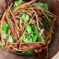 Inside the World of Ayahuasca and Iboga: The Love of Plant Medicine With Guest Matthew Butcher