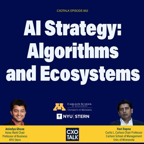 Ultimate Guide To Enterprise AI Strategy: Algorithms And Ecosystems | CXOTalk #852