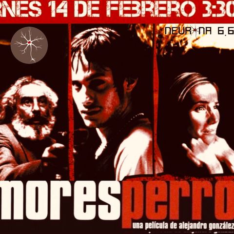 AMORES PERROS, a 20 años de la cima del nuevo cine mexicano.