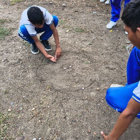 Experiencia Didáctica