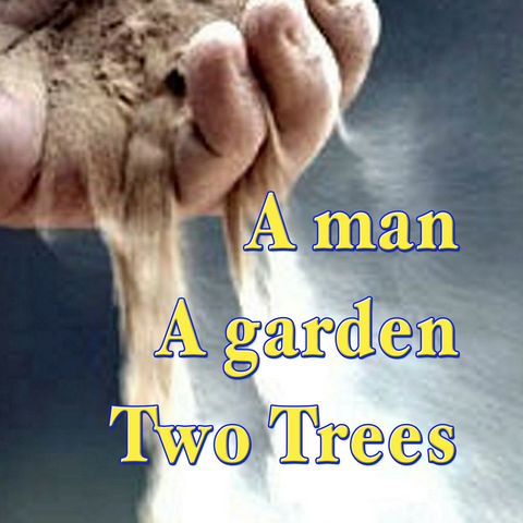 Man, A Garden, And Two Trees, Genesis 2:7-9 (OD13)