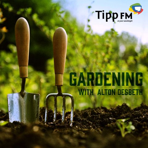 Alton Desbeth talks about Gardening