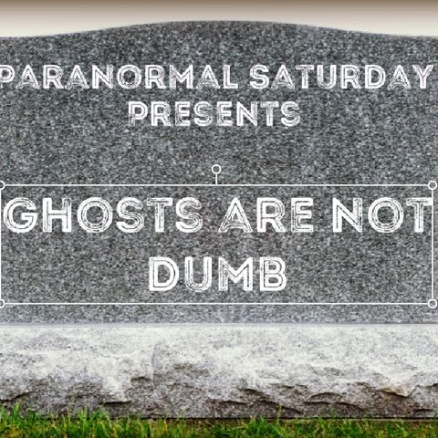 Ghosts are not dumb