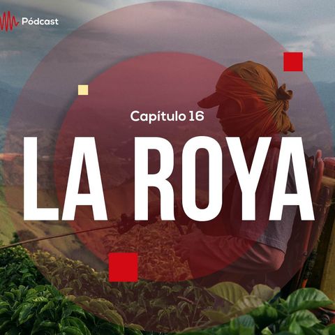 Capítulo 16: La Roya