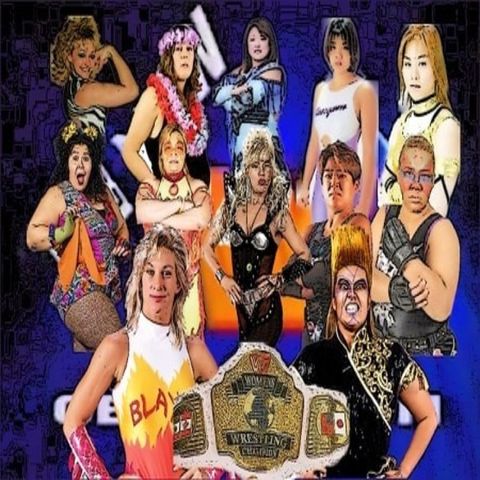 Episode Thirty One - WWF Women's Division 1993-1995