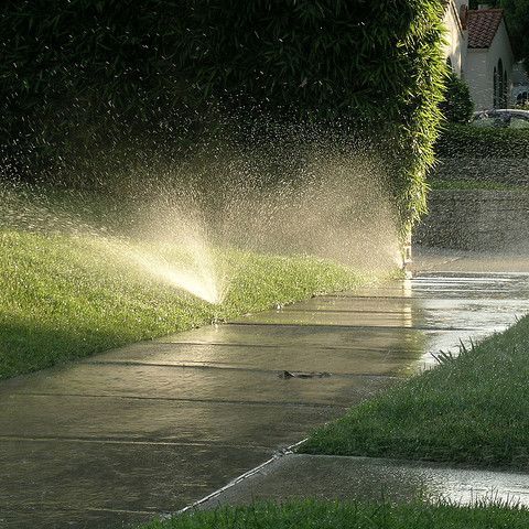 Summer Irrigation Part 2
