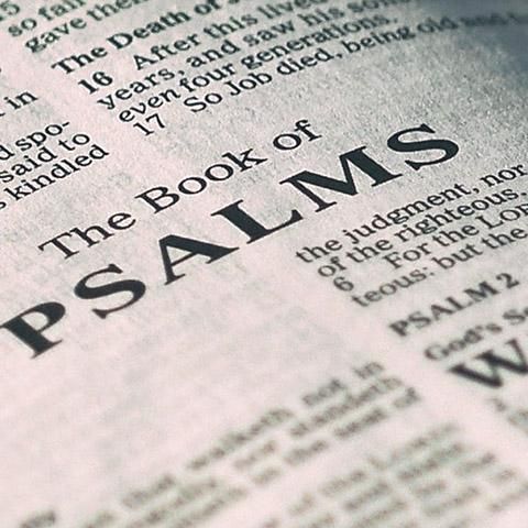 Psalm 37 Interpretations