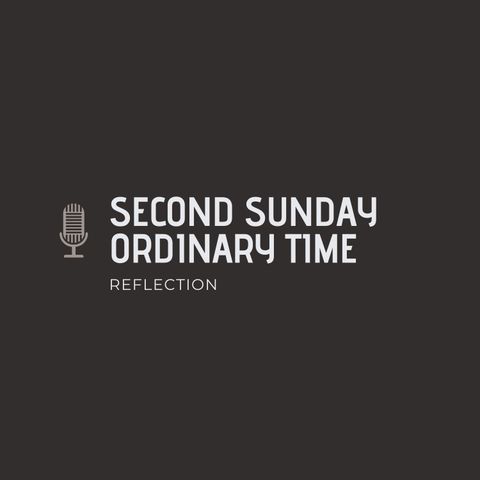 Homiletic Reflection