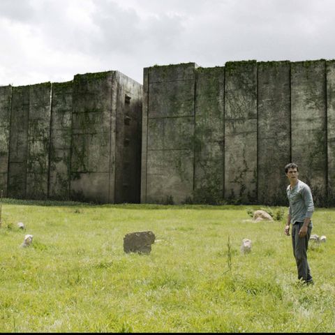 #sgp Maze Runner