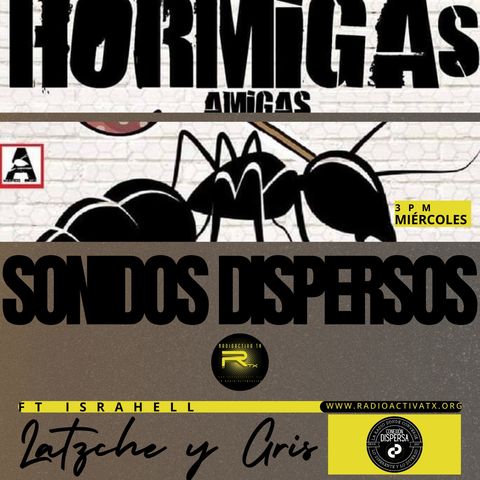 Sonidos_dispersos_hormigas_amigas_12feb25_rtx