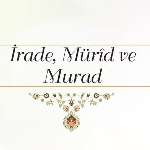 İrade, Mürîd ve Murad