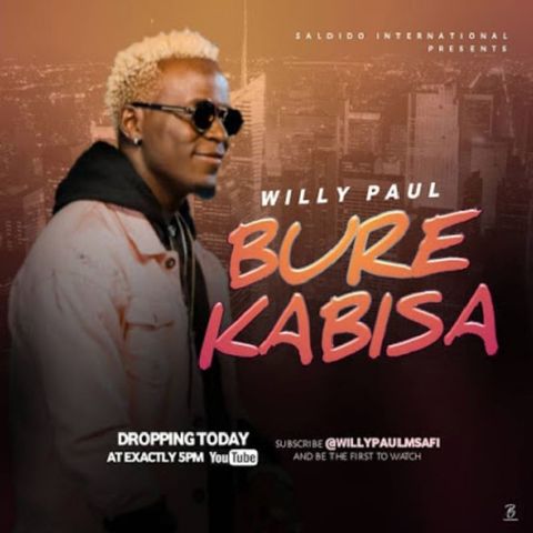 Willy Paul - Bure Kabisa (official Video)