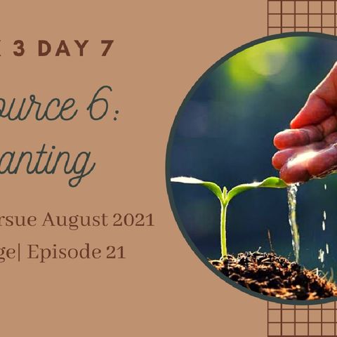 Episode 21| Reset to Pursue Week 3| Start Planting