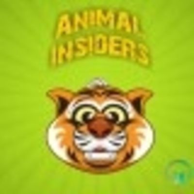 Animal Insiders Episode: 1 Featuring Project Chimps
