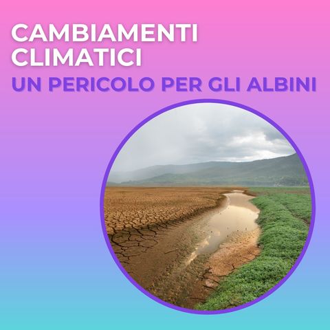 Cambiamenti climatici e deforestazione - un pericolo per gli Albini