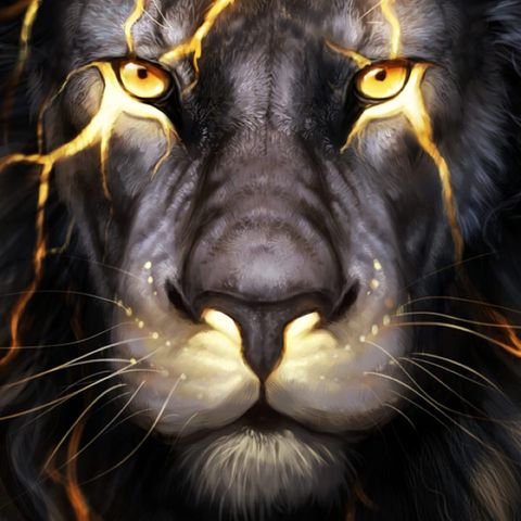 Breif summary of Lion’s Den