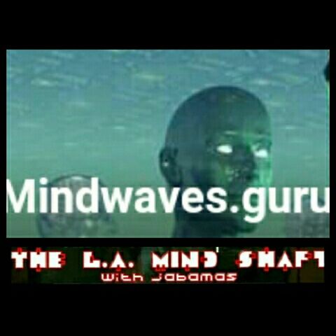 The LA Mind Shaft